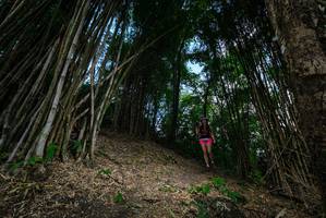 BIB: 
                            <button type="button" onclick="openModal(19395536)" class="btn btn-primary btn-sm float-right btn-popup" data-toggle="modal" data-target=".modal-high-quality">
                        <i class="fas fa-shopping-cart"></i> Add to Cart
                    </button>
                                            <button type="button" onclick="isThisMe(19395536, true)" class="btn btn-success btn-sm float-right btn-popup btn-isme hidden" data-toggle="tooltip" data-placement="bottom" title="นี่คือรูปของคุณใช่ไหม คลิกที่นี่เพื่อเอาเข้าอัลบั้ม">
                        <i class="fas fa-plus"></i> Add to album
                    </button>
                    <button type="button" onclick="isThisMe(19395536, false)" class="btn btn-warning btn-sm float-right btn-popup btn-isnotme hidden">
                        <i class="fas fa-ban"></i> Remove from album
                    </button>